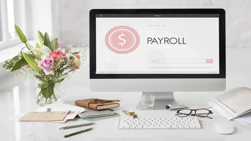 Payroll Automation Software